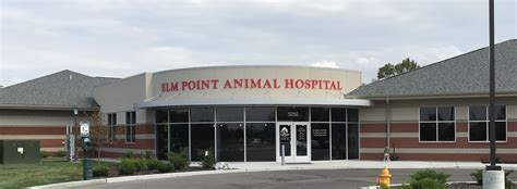 Elm point animal hospital - Jul 26, 2022 · ST. CHARLES, Mo. – One dog drowned in flood waters Tuesday morning at Elm Point Animal Hospital. There were 30 dogs in the basement when flood waters started to come in. Two people were trapp… 